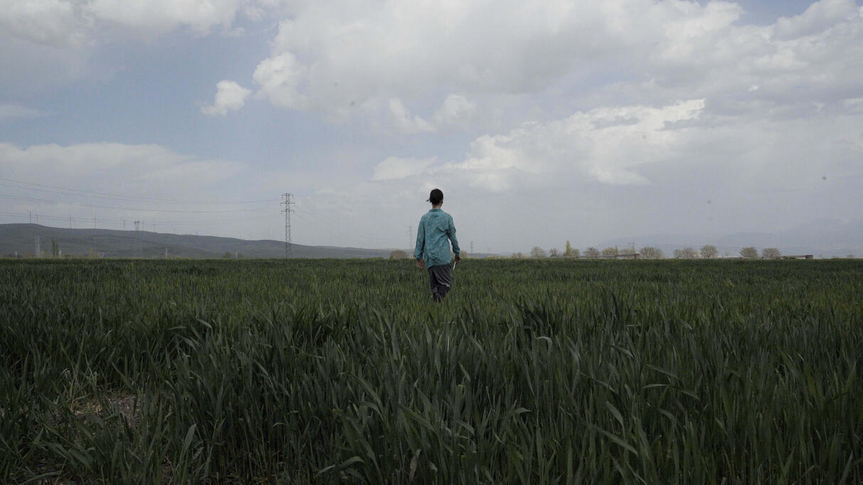 When her friendship with a 100-year-old Armenian woman ends in a haunting confession, Tuğçe sets out to uncover the hidden roots of her own family, and of her country’s collective amnesia.