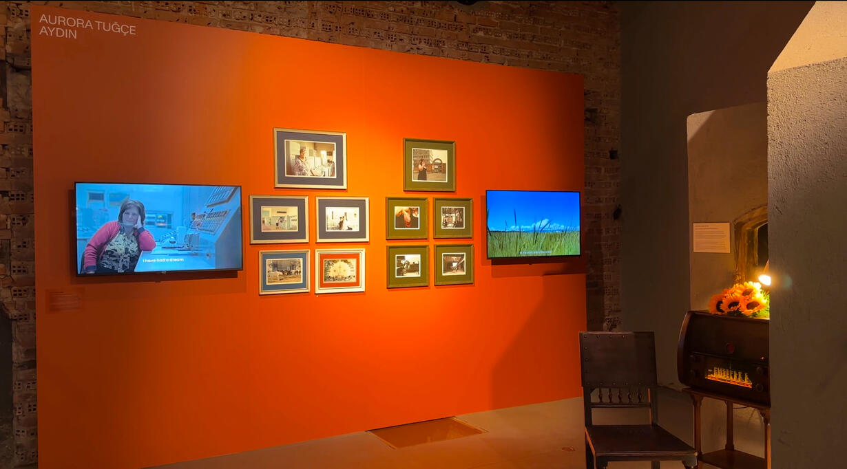 Video Installation / Photography / Sound Installation 2024 Mamut Art Project - Istanbul/Turkey